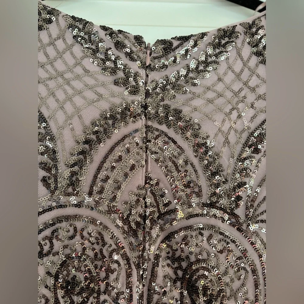 Mauve Mid-Length Beaded Dress 10P EUC Worn Once - Picture 3 of 6